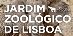 Read more about the article Vamos ao ZOO de Lisboa … quando nos apetecer