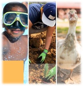 Read more about the article Colónia de Férias de Verão 2026 no Campo Aventura