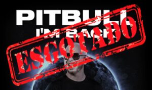 Read more about the article Pitbull: I’m Back